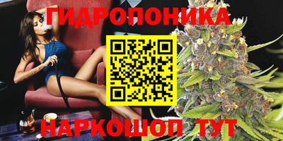 spice Балахна