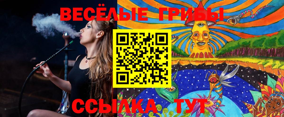 где купить   Галлюциногенные грибы мухоморы  Вход с VPN  Галлюциногенные грибы ЛСД  Елизово 