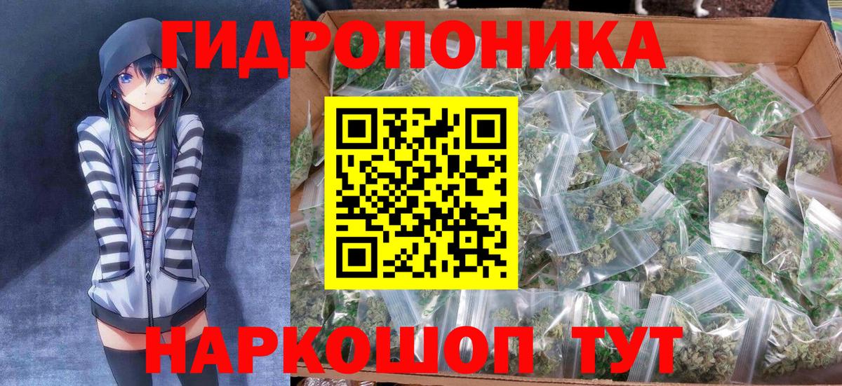 Бошки Шишки MAZAR Елизово